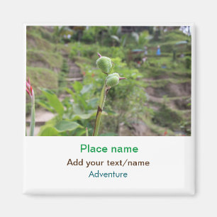 Íman Plantas naturais fotografia água de praia viagem