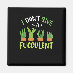 Íman Plantas Suculentas