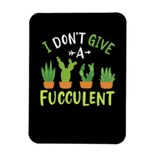 Íman Plantas Suculentas