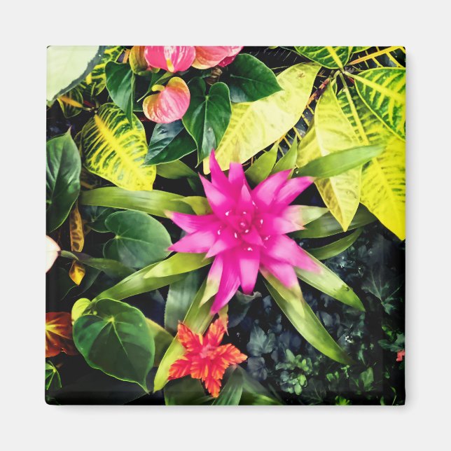 Íman Plantas tropicais (Frente)