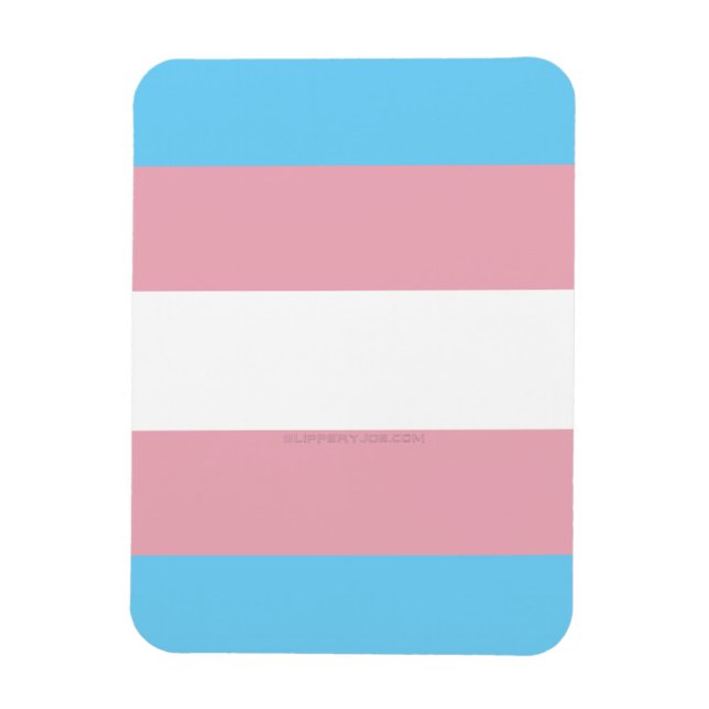 Íman Plataforma de diversidade do orgulho transgênero d (Vertical)