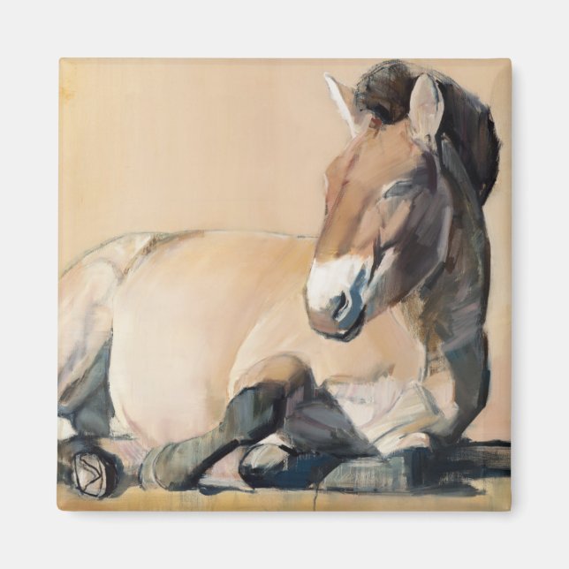 Íman Plateau Sun (Frente)