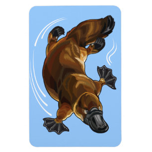 Íman platypus