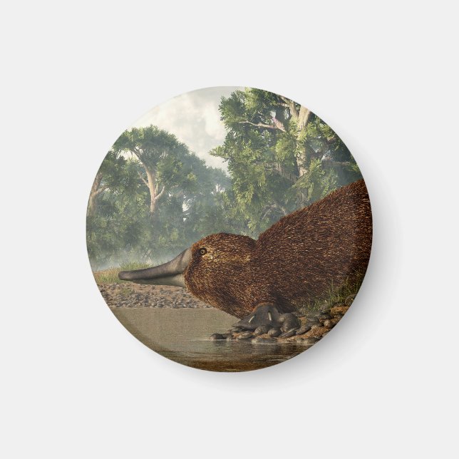 Íman Platypus na orla (Frente)