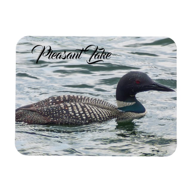 Íman Pleasant Lake Loon Magnet (Horizontal)