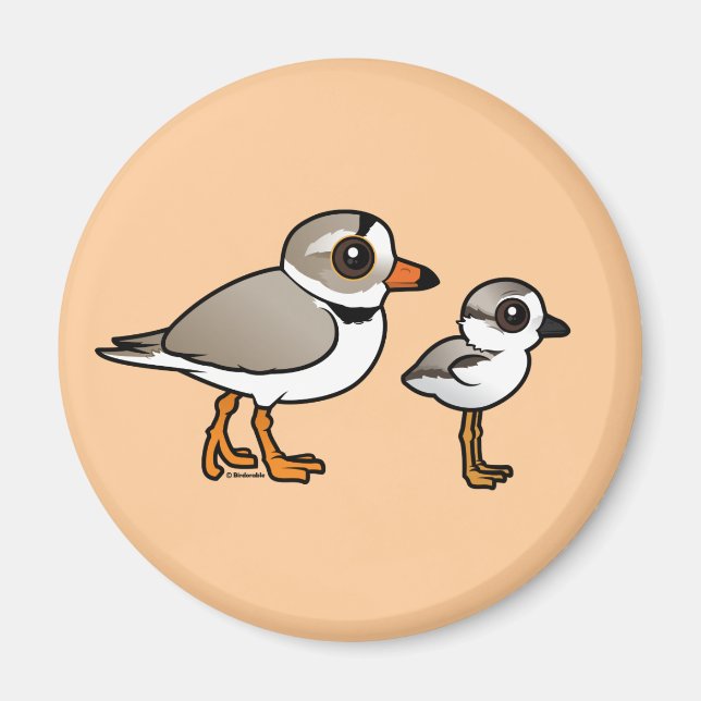 Íman Plover de Tubagem com pintinho (Frente)