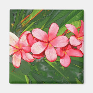 Íman Plumeria