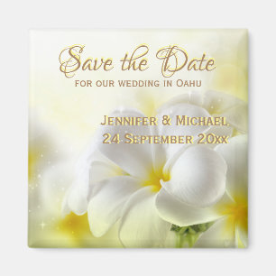 Íman Plumeria Branca Havaiana