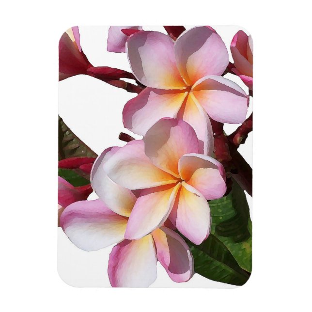 Íman Plumeria Flowers Premium Magnet (Vertical)