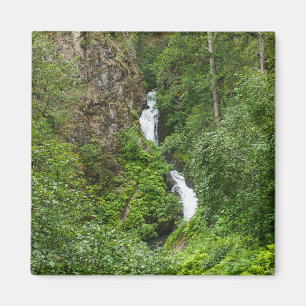 Íman Plush Thunderbird Painterly