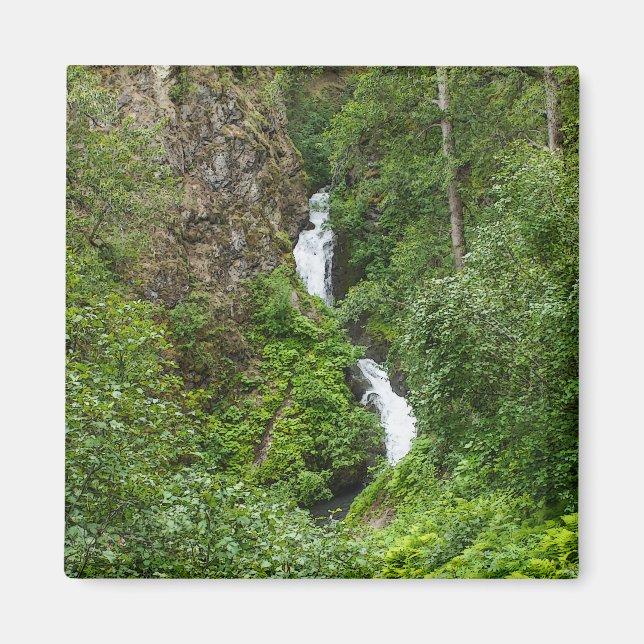 Íman Plush Thunderbird Painterly (Frente)