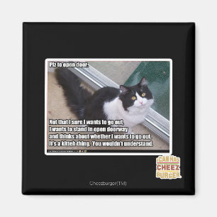 Íman Plz para abrir a porta