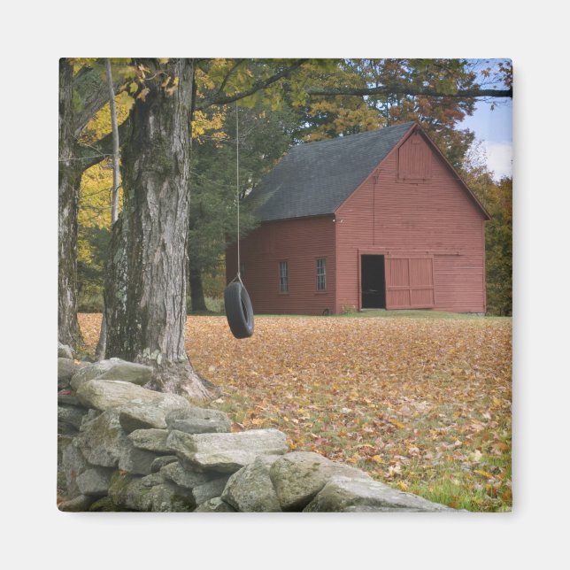 Íman Pneus balançando ao longo de uma estrada no sul de (Frente)