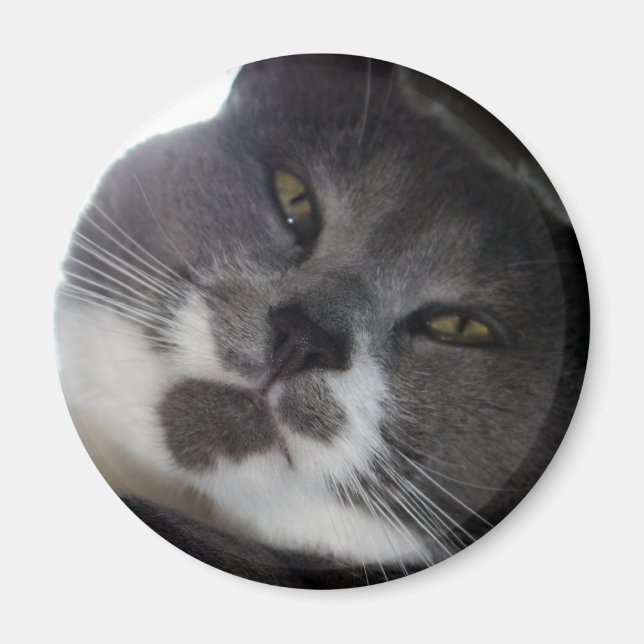 Íman Poe 2 (Frente)