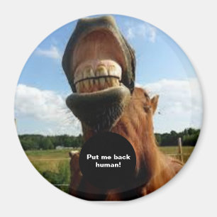 Íman Põe-me de volta humano! Magnet Cavalo