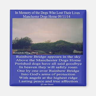 Íman Poema da Ponte Magnet Manchester Rainbow