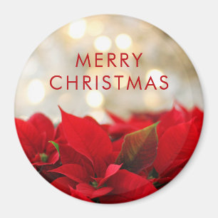 Íman Poinsétias vermelhas com Natal dourado de Bokeh