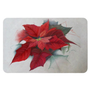 Íman Poinsettia Flor de Natal Pintura