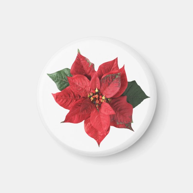 Íman Poinsettia Vermelha de Natal (Frente)