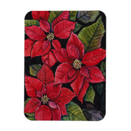 Íman Poinsettia Vibrante Em Aquarela
