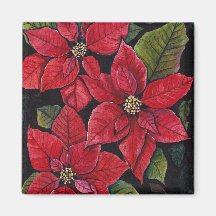 Poinsettia Vibrante Em Aquarela