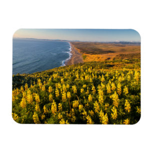 Íman Point Reyes National Seashore California