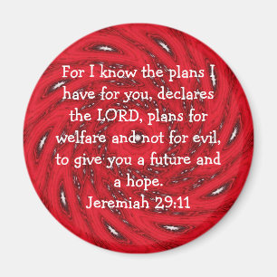 Íman Pois eu sei os planos que tenho.... Jeremiah 29:1