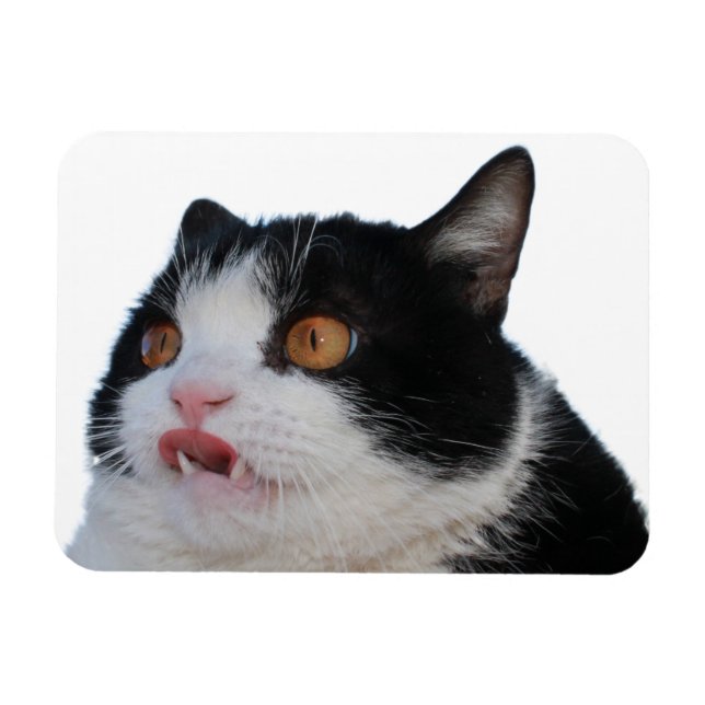 Íman Pokey Magnet (Horizontal)