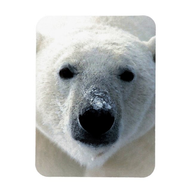 Íman Polar Bear (Vertical)