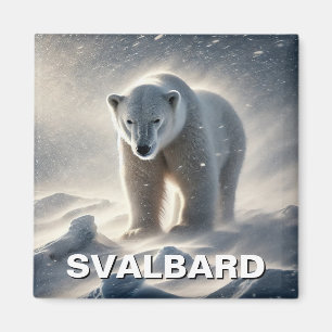 Íman Polar Bear Svalbard Noruega