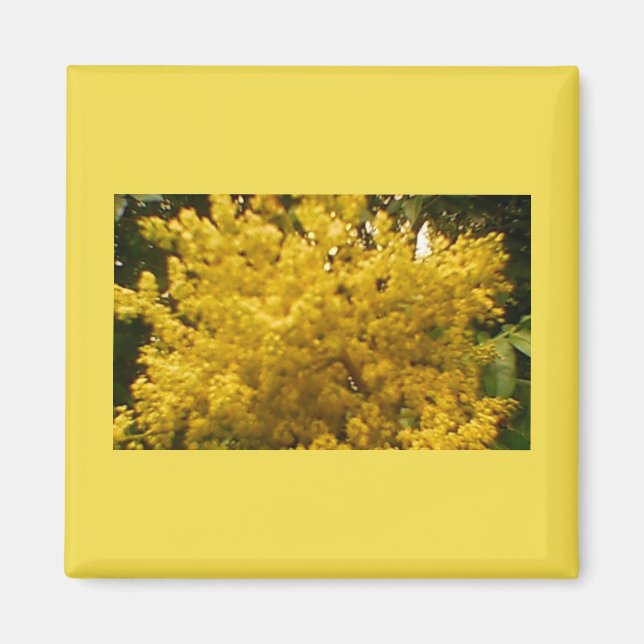 Íman Pólen Blooming (Frente)