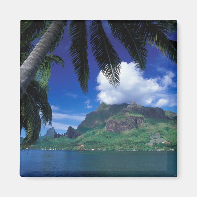 Íman Polinésia Francesa, Moorea. Baía de Cooks. Verde (Frente)
