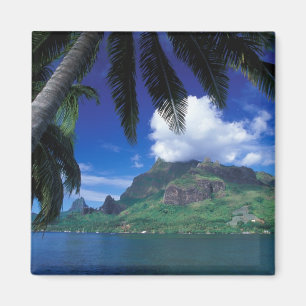 Íman Polinésia Francesa, Moorea. Cooks Bay.Verde