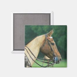 Íman Polo Pony Magnet