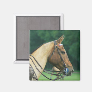Íman Polo Pony Magnet
