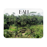 polos de arroz bali
