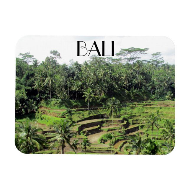Íman polos de arroz bali (Horizontal)