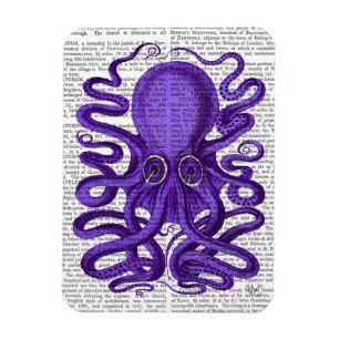 Íman Polvo Roxo