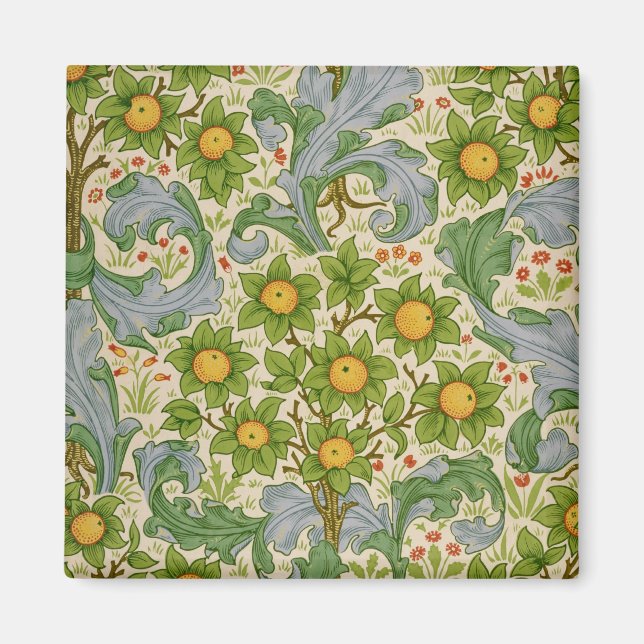 Íman Pomar, Carvalho, 1899 (Frente)