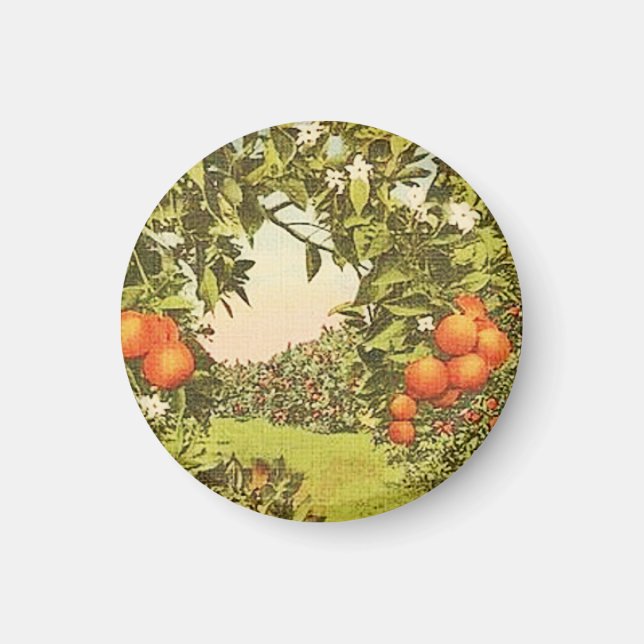 Íman Pomar de Laranja Vintage (Frente)