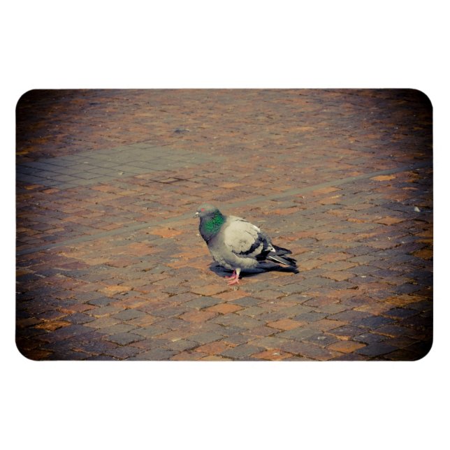 Íman Pombo (Horizontal)