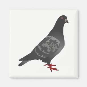 Íman Pombo