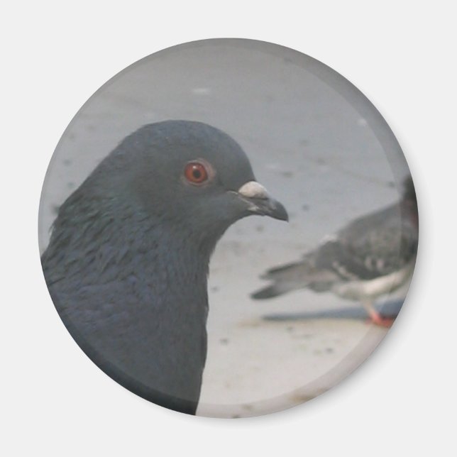 Íman Pombo (Frente)