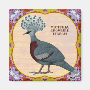 Íman Pombo-Coroa