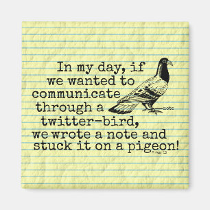 Íman Pombo engraçado do pássaro do Twitter da idade