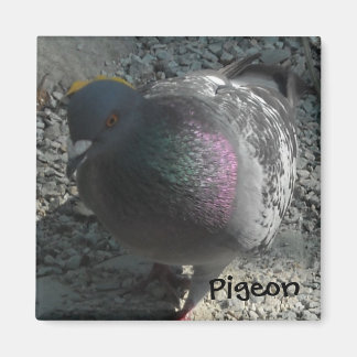 Íman Pombo Posando