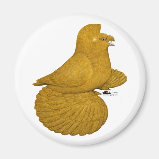 Íman Pombo Trombeteiro Amarelo (Frente)