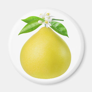 Íman Pomelo num galho