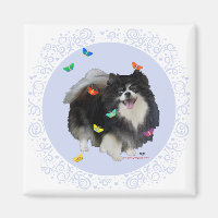 Pomerânia com Borboletas