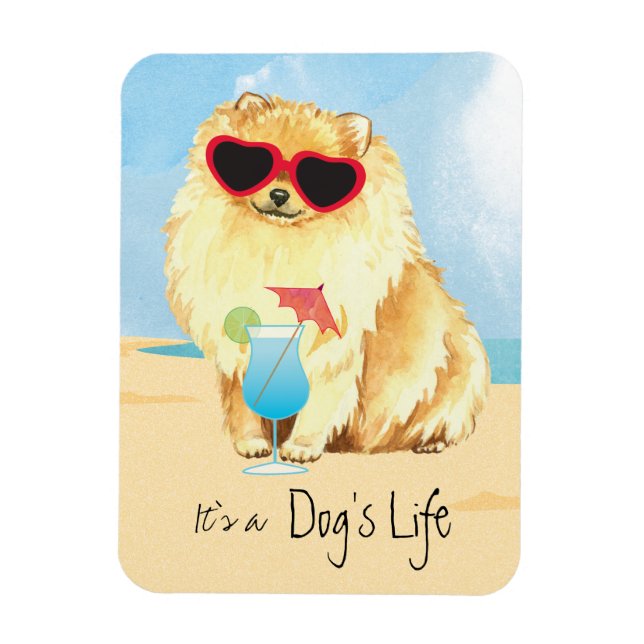 Íman Pomerânia de Verão (Vertical)